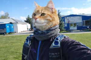 Егор Дианов